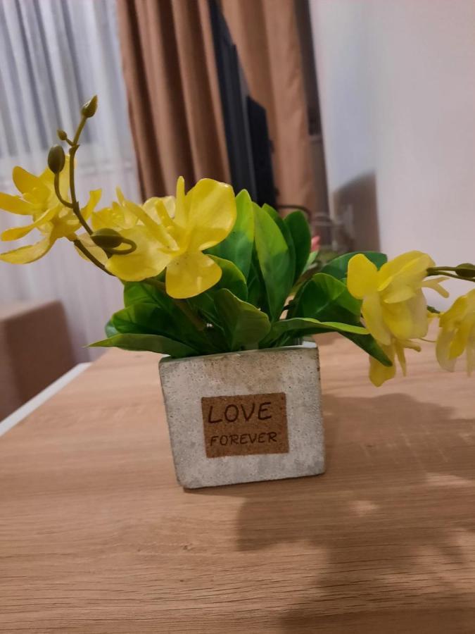 Apartman Rada 2 Бієліна Екстер'єр фото
